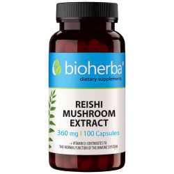 Reishi Mushroom Extract 360 mg