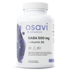 GABA 500 mg + Vitamin B6
