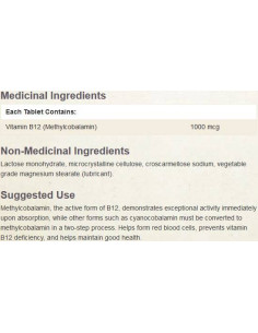 B12 Methylcobalamin 1000 mcg 2