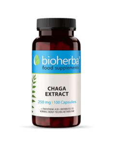Full Spectrum Chaga Mushroom