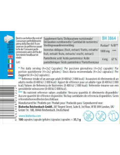 Full Spectrum Chaga Mushroom 2