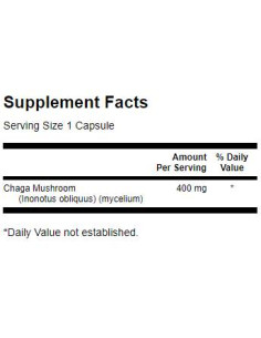 Full Spectrum Chaga Mushroom 400 mg 2
