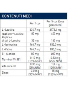 RAMTECH - BCAA 4:1:1 2