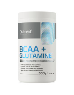 BCAA + GLUTAMINE Powder