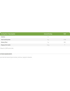 Slippery Elm 370 mg 2