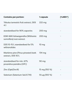 Hormonal Support Man 2