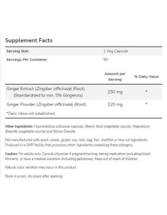 Ginger Root Extract 250 mg 2