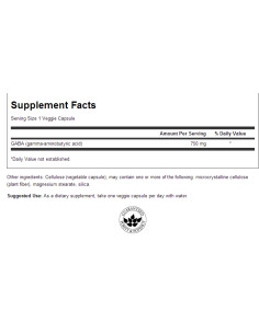 GABA 750 mg / Maximum Strength 2