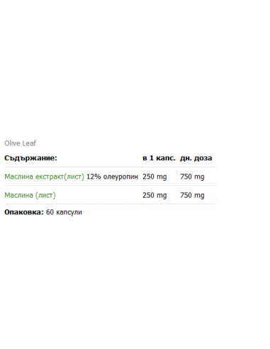 Olive Leaf 500 mg