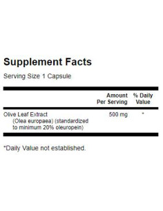 Olive Leaf Extract 500 mg 2