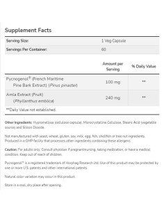 Pycnogenol 100 mg 2