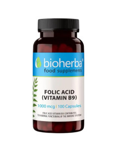 Folic Acid 400 mcg