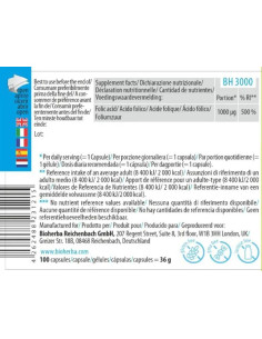 Folic Acid 400 mcg 2