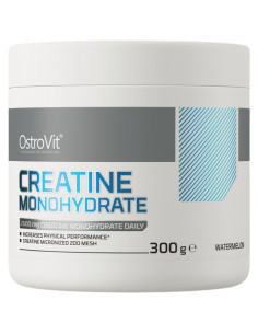 Creatine Monohydrate Powder