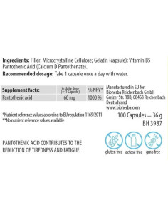 Pantothenic Acid | Vitamin B-5 2