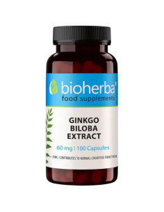 Ginkgo Biloba Extract 60 mg