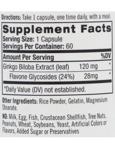 Ginkgo Biloba 120 mg 2