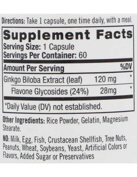 Ginkgo Biloba 120 mg