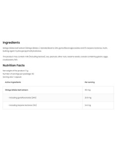 Ginkgo Biloba 90 mg / Vege 2