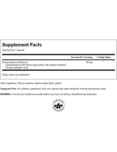 Ginkgo Biloba Extract 60 mg 2