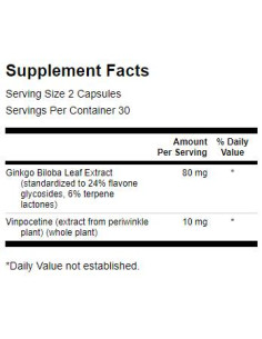 Ginkgo with Vinpocetine (Standardized) 40 mg 2
