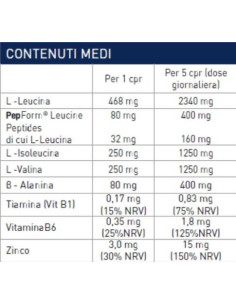RAMTECH - BCAA 2:1:1 2