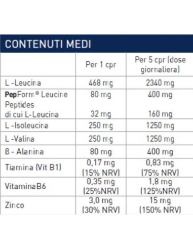 RAMTECH - BCAA 2:1:1