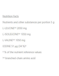 BCAA Nano | with Electrolyte Blend 2