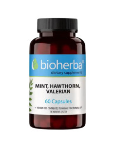 Mint , Hawthorn and Valerian