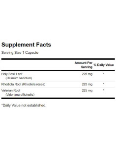 Rhodiola Holy Basil Valerian Stress Complex 2