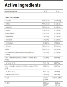 Gold Core Amino EAA | Essential Amino Acids 2