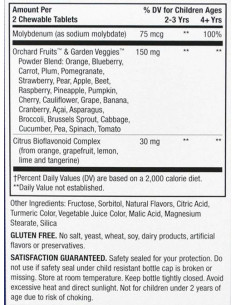 Alive! Children-N39,s Chewable Multi-Vitamin Tablets 2