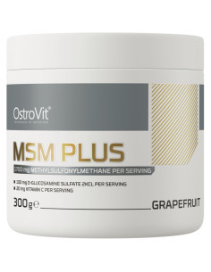 MSM Plus
