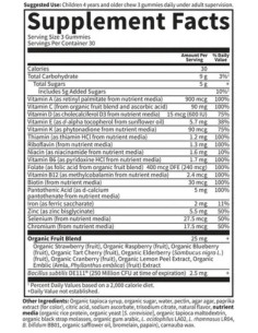 Vitamin Code Kids Multi with Iron Gummies 2