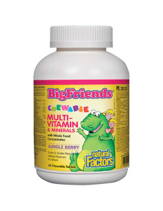 Multivitamin and Minerals / Big Friends For Kids