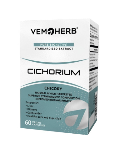 Cichorium