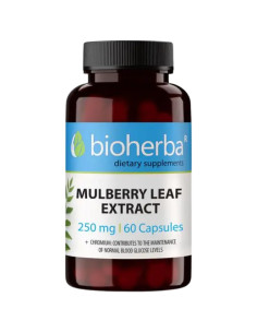 Mulberry Leaf Extract 250 mg