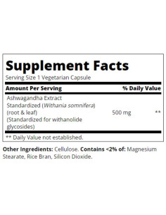 Ashwagandha Extract 500 mg 2