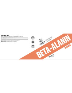 Beta Alanine Powder 2
