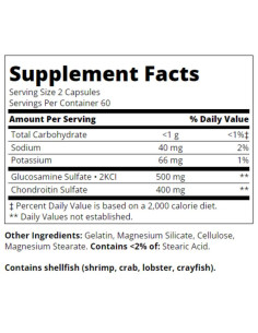 Glucosamine Chondroitin 250 mg / 200 mg - Original Strength 2