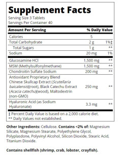 Glucosamine Chondroitin Advanced + MSM 2