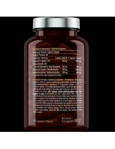 Glucosamine + Chondroitin + MSM 2