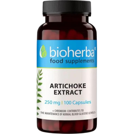 Artichoke 320 mg