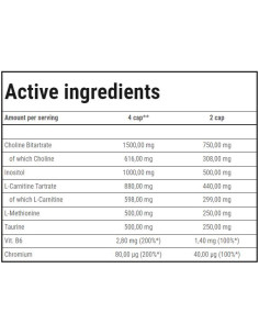 Fat Transporter | Lipotropic Fat Burner 2