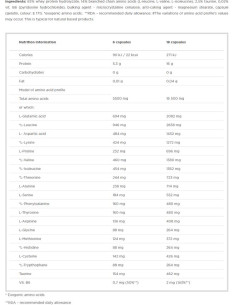 Anabolic Amino 5500 2