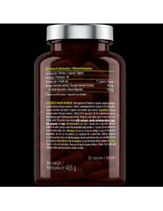 Bacopa Monnieri 250 mg 2