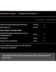 Turkesterone 1200 | with Beta-Ecdysterone -amp, AstraGin 2