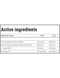 CLA + Green Tea 2