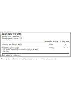 Green Tea Extract 400 mg 2