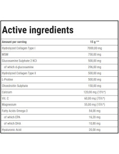 Flex Guard | Advanced Joint Support 2